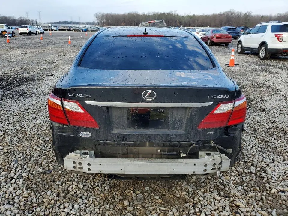 2010 LEXUS LS 460  