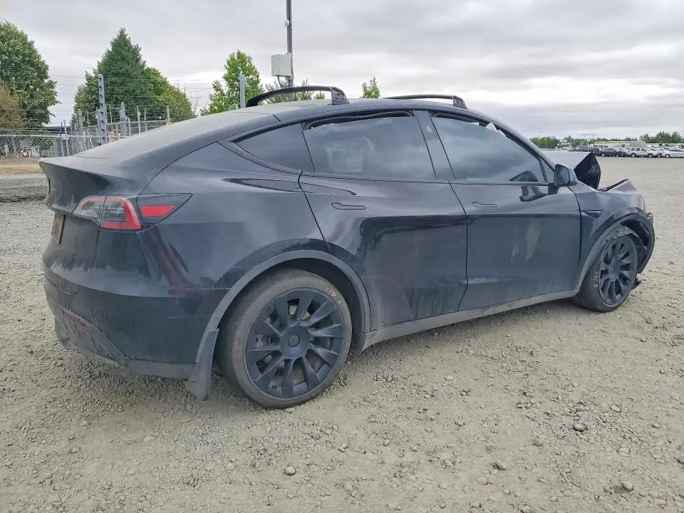 2024 TESLA MODEL Y   