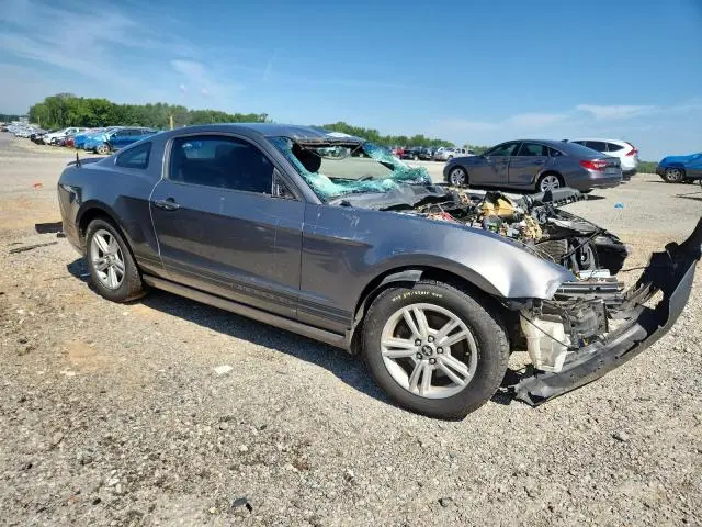 2013 FORD MUSTANG   