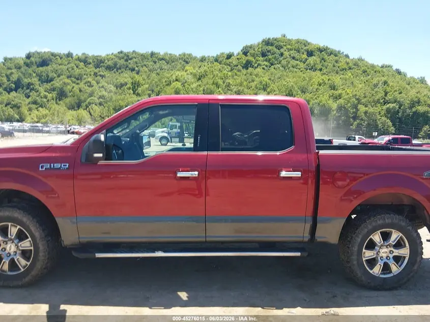 2016 FORD F-150 XLT