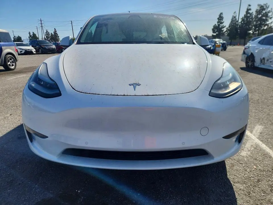 2021 TESLA MODEL Y   