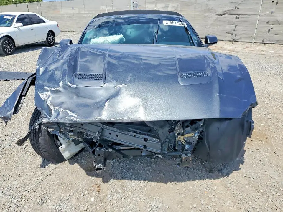 2019 FORD MUSTANG   