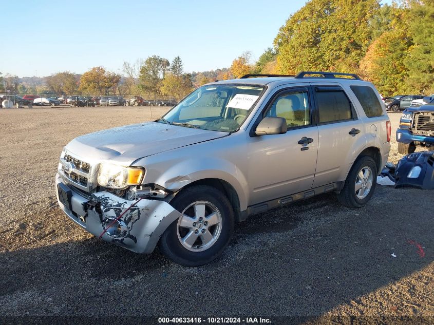 2010 FORD ESCAPE XLT