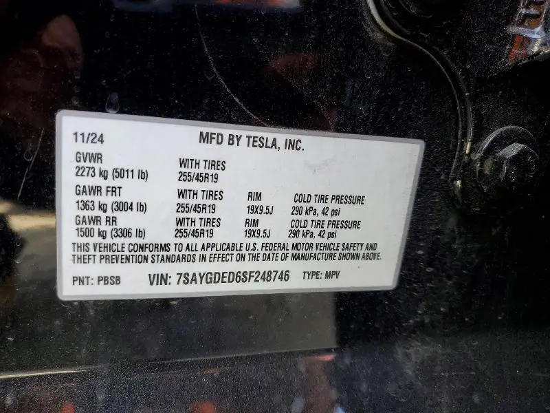 2025 TESLA MODEL Y   