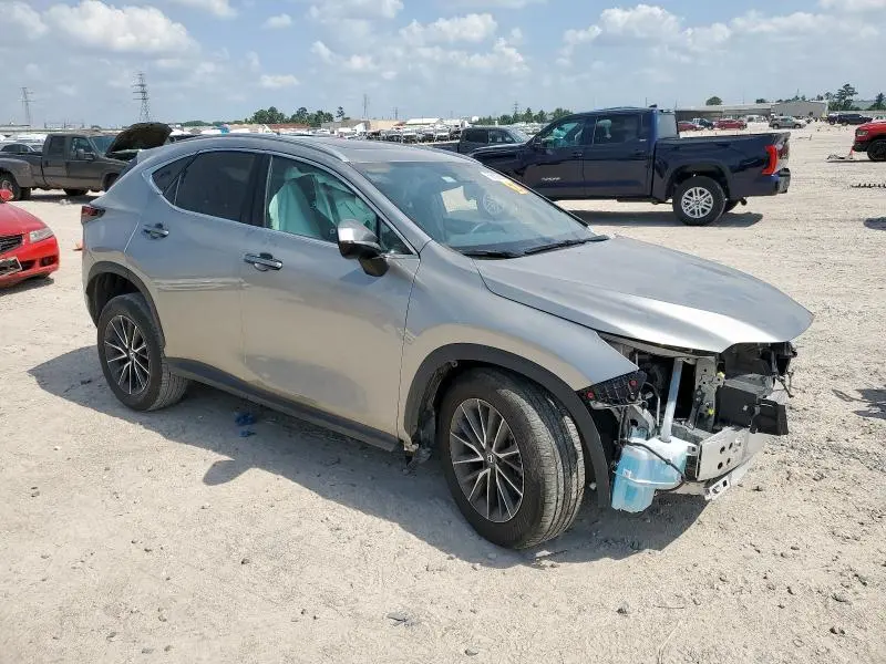 2024 LEXUS NX 250 PREMIUM  