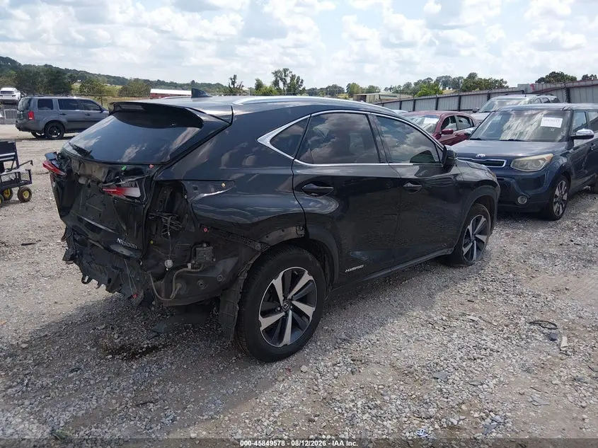 2019 LEXUS NX 300H  
