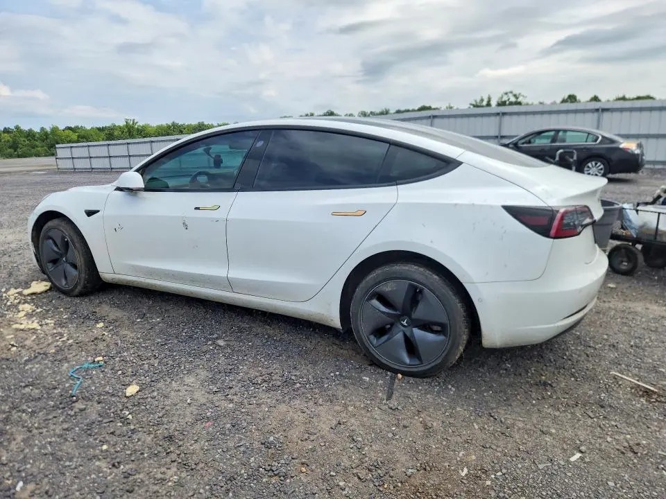 2019 TESLA MODEL 3   