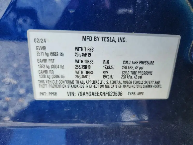 2024 TESLA MODEL Y   