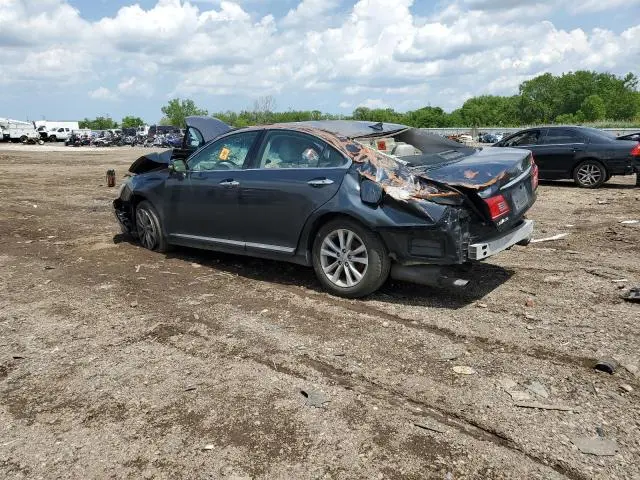 2010 LEXUS ES 350  