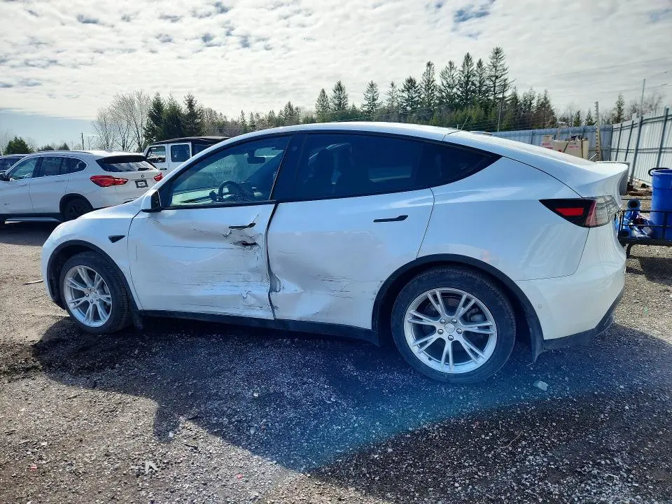 2021 TESLA MODEL Y   