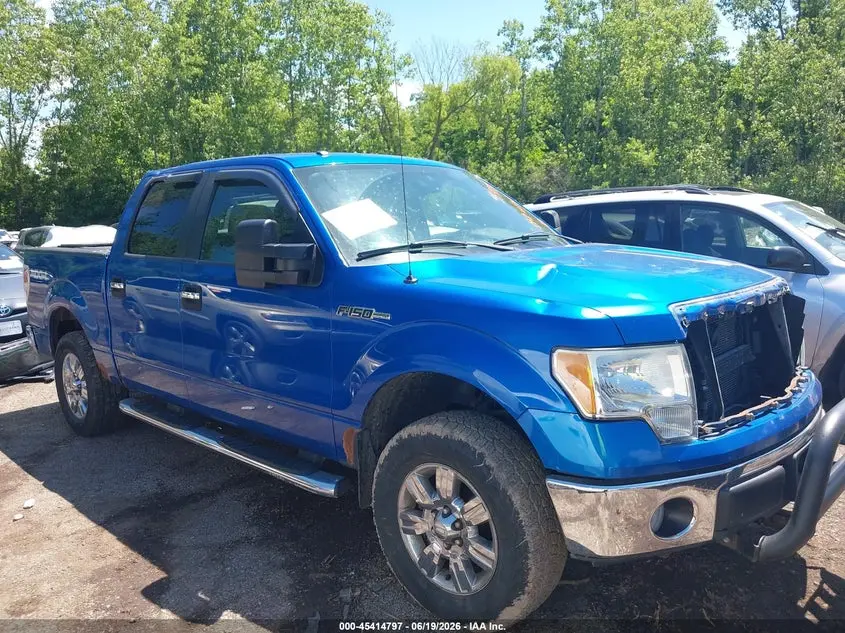 2010 FORD F-150 XL/XLT
