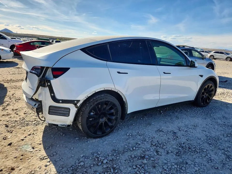 2021 TESLA MODEL Y   
