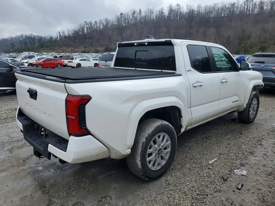 2024 TOYOTA TACOMA   