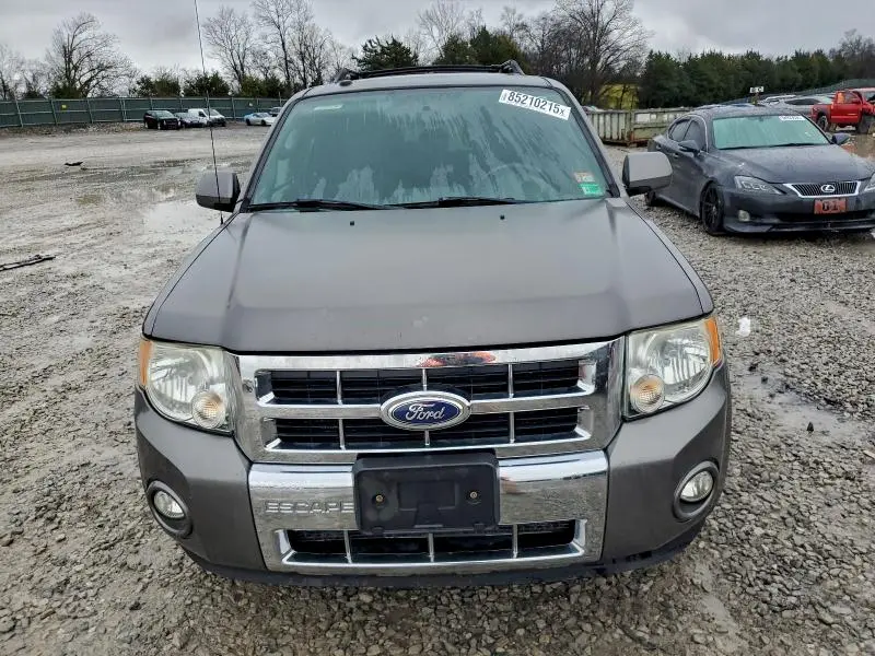 2010 FORD ESCAPE LIMITED  