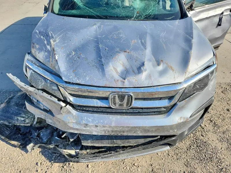 2019 HONDA PILOT EXL  