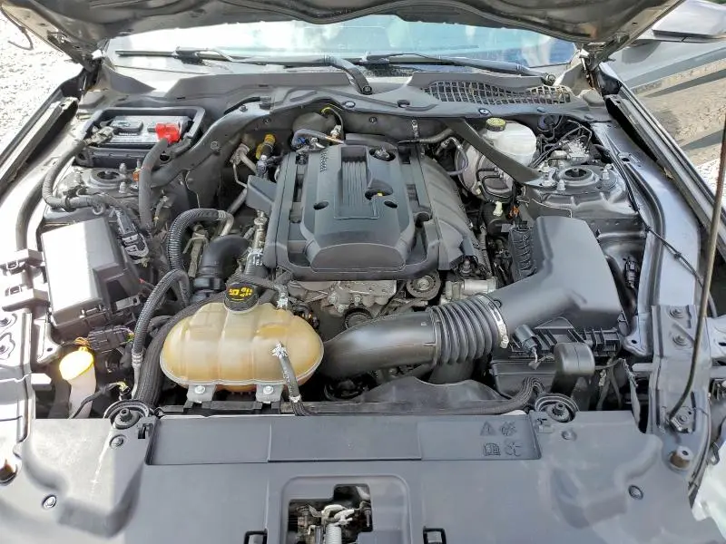 2019 FORD MUSTANG   