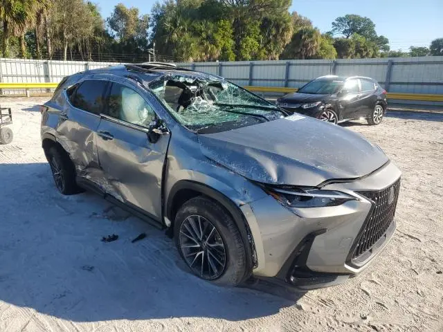 2023 LEXUS NX 350  