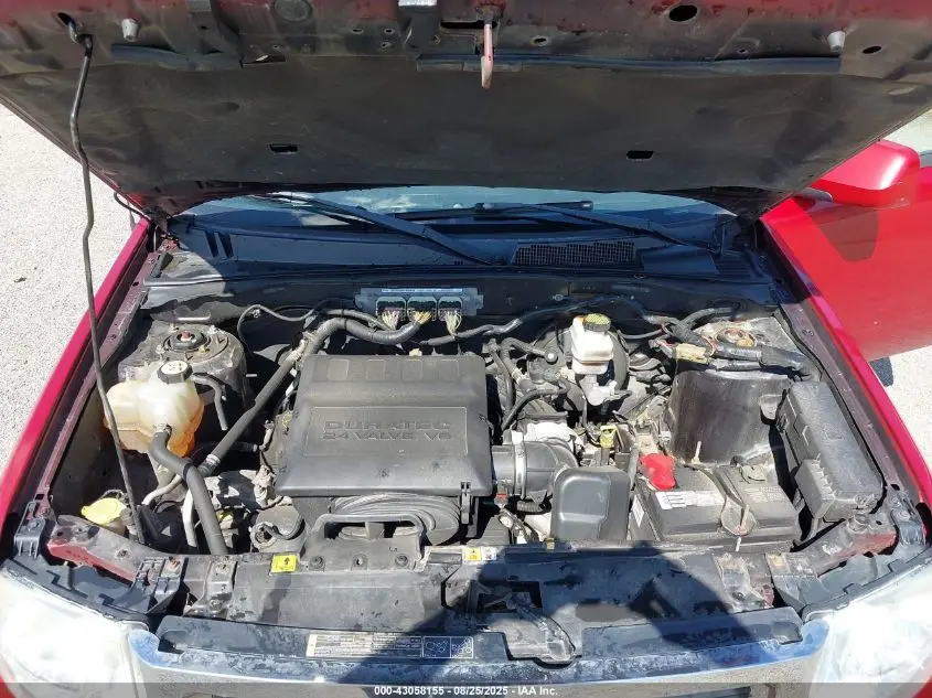 2011 FORD ESCAPE LIMITED