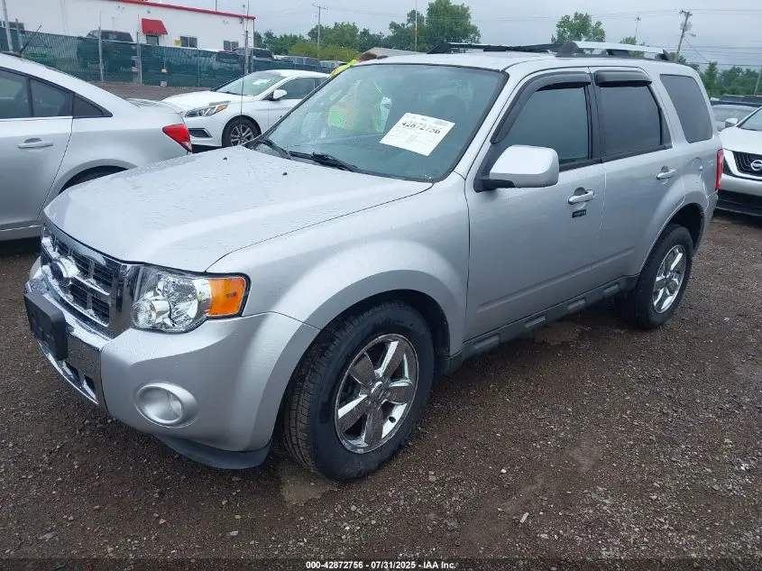 2010 FORD ESCAPE LIMITED