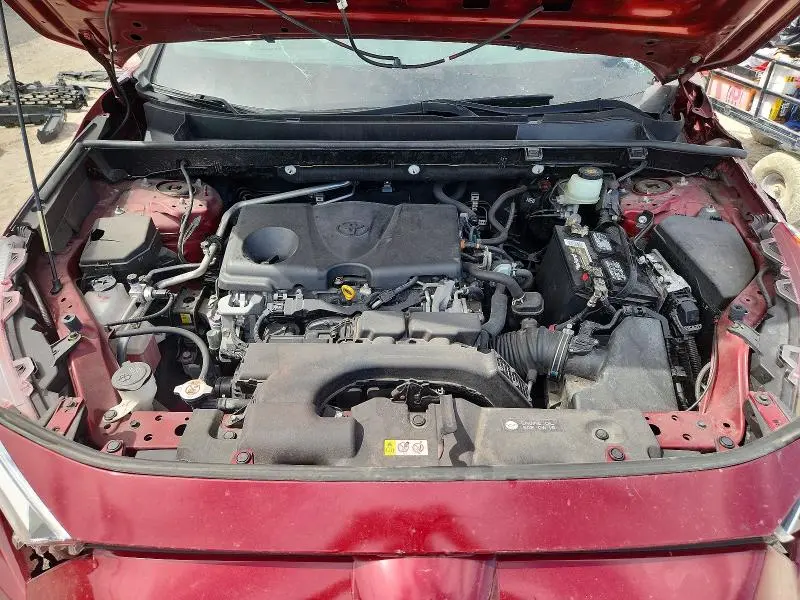 2019 TOYOTA RAV4 XLE  