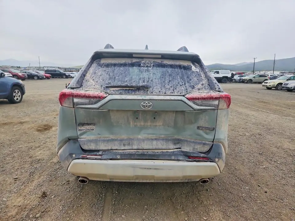 2019 TOYOTA RAV4 ADVENTURE  