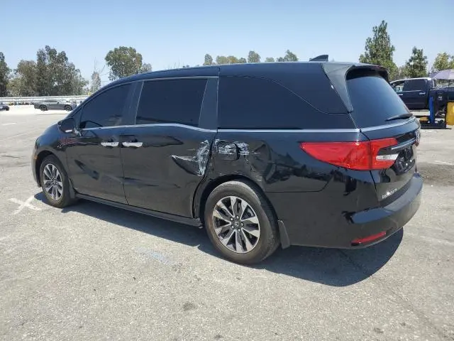 2024 HONDA ODYSSEY EXL  