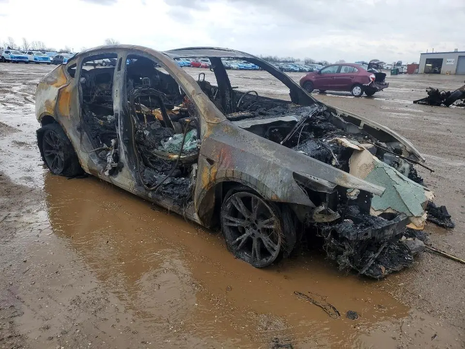 2024 TESLA MODEL Y   