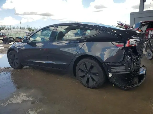 2025 TESLA MODEL 3   