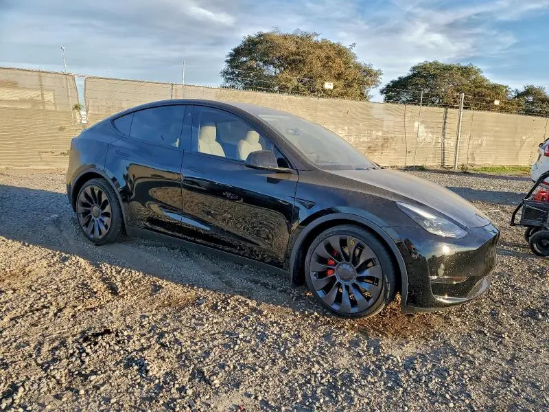 2023 TESLA MODEL Y   