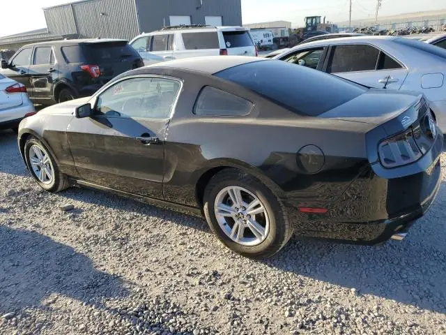 2014 FORD MUSTANG