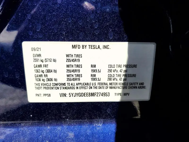 2021 TESLA MODEL Y   