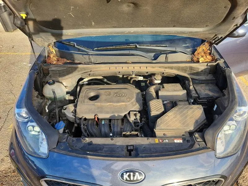 2020 KIA SPORTAGE LX  