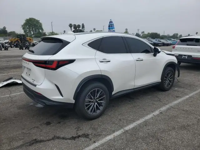 2024 LEXUS NX 350 BASE  