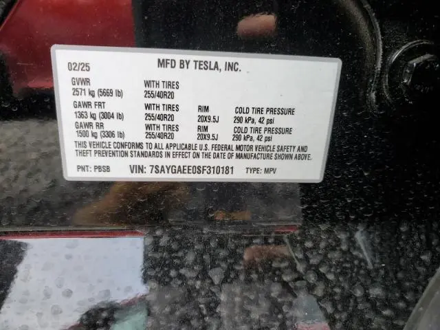 2025 TESLA MODEL Y   