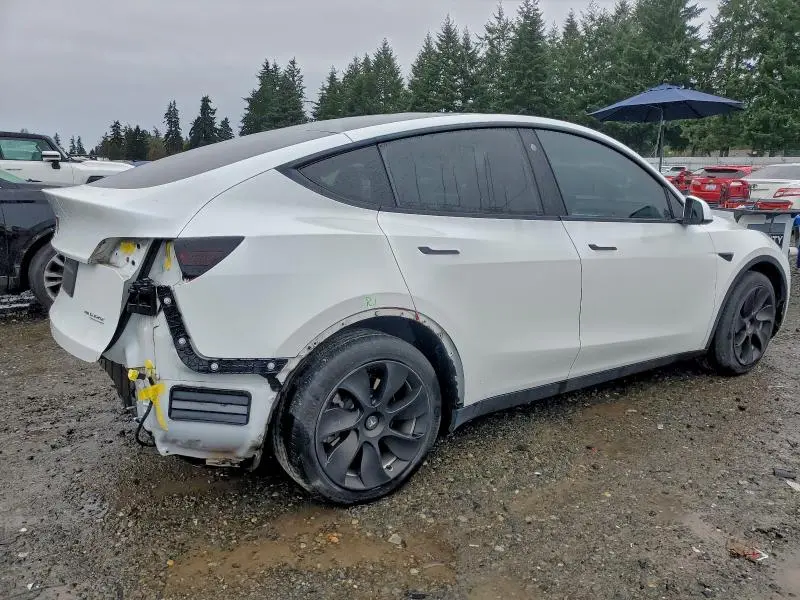 2021 TESLA MODEL Y   