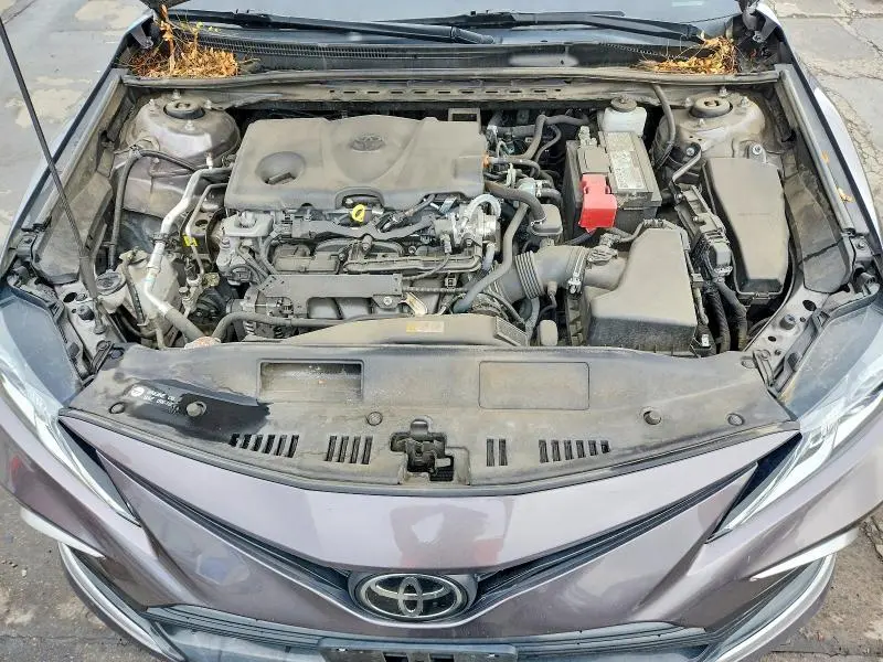 2023 TOYOTA CAMRY LE  