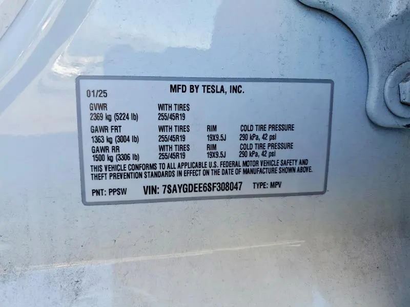 2025 TESLA MODEL Y   