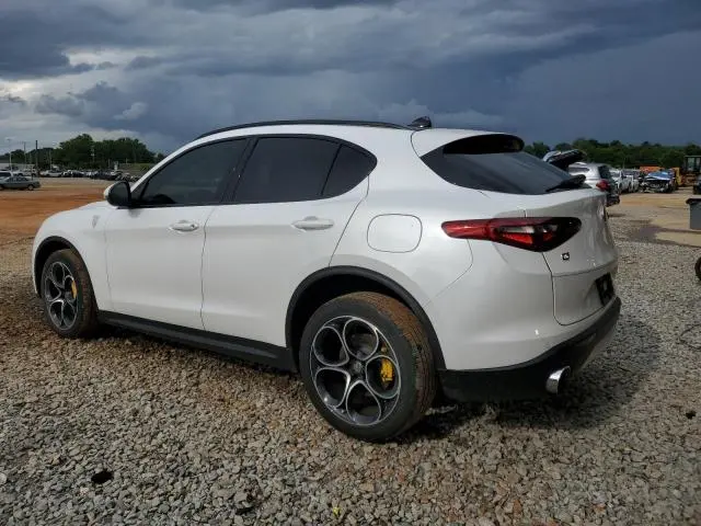 2019 ALFA ROMEO STELVIO TI  