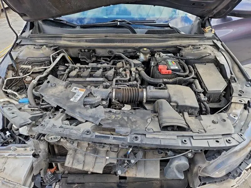 2019 HONDA ACCORD LX  