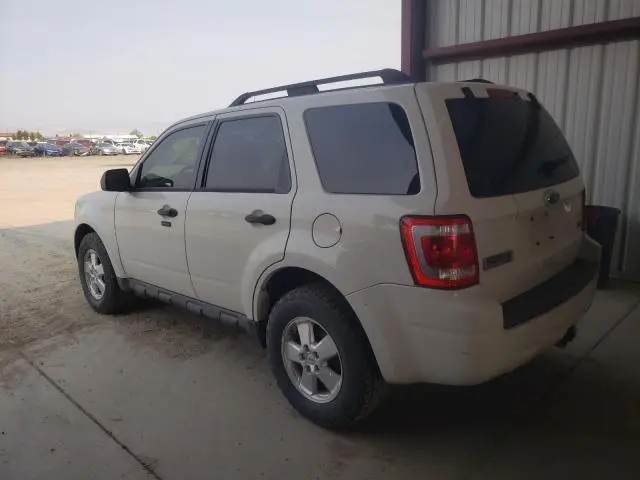 2011 FORD ESCAPE XLT  