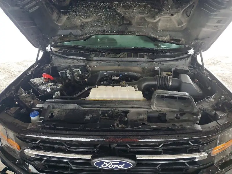 2025 FORD F150 XLT  