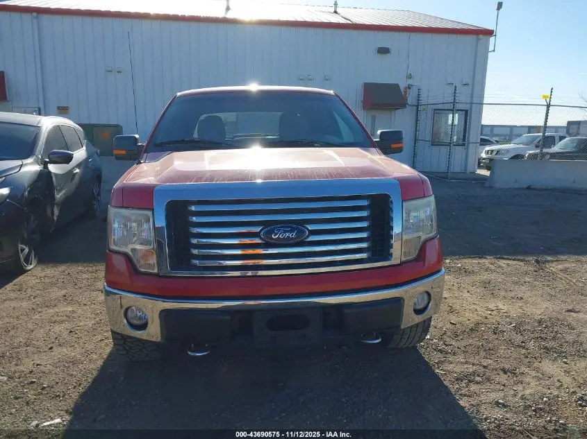 2010 FORD F-150 FX4/HARLEY-DAVIDSON/KING RANCH/LARIAT/PLATINUM/XL/XLT