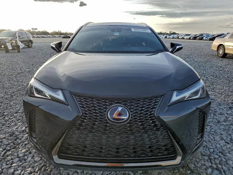 2019 LEXUS UX 250H  