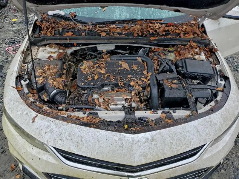 2018 CHEVROLET MALIBU LT  