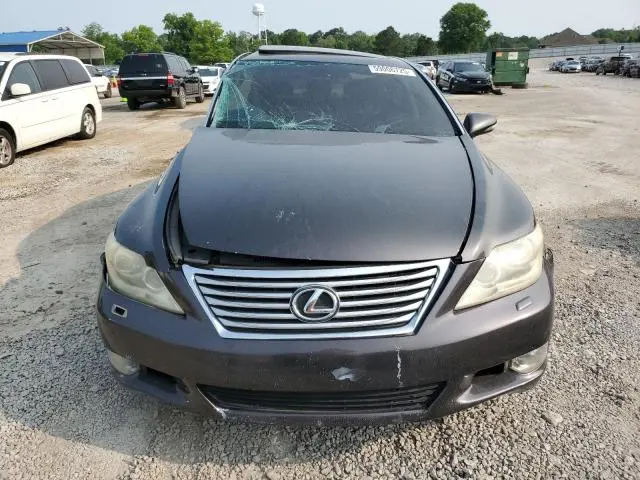 2010 LEXUS LS 460  