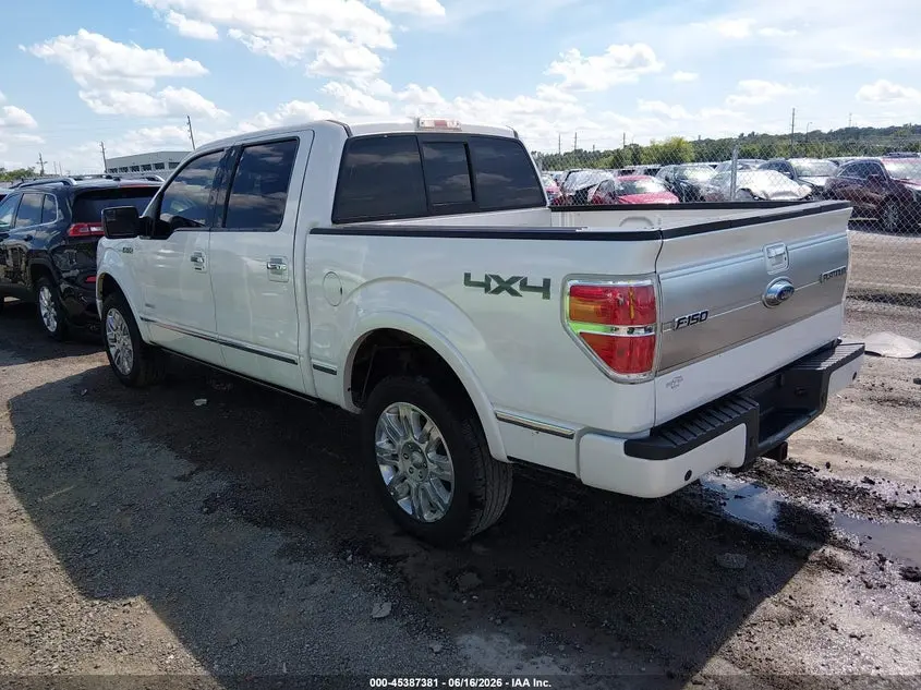 2013 FORD F-150 PLATINUM