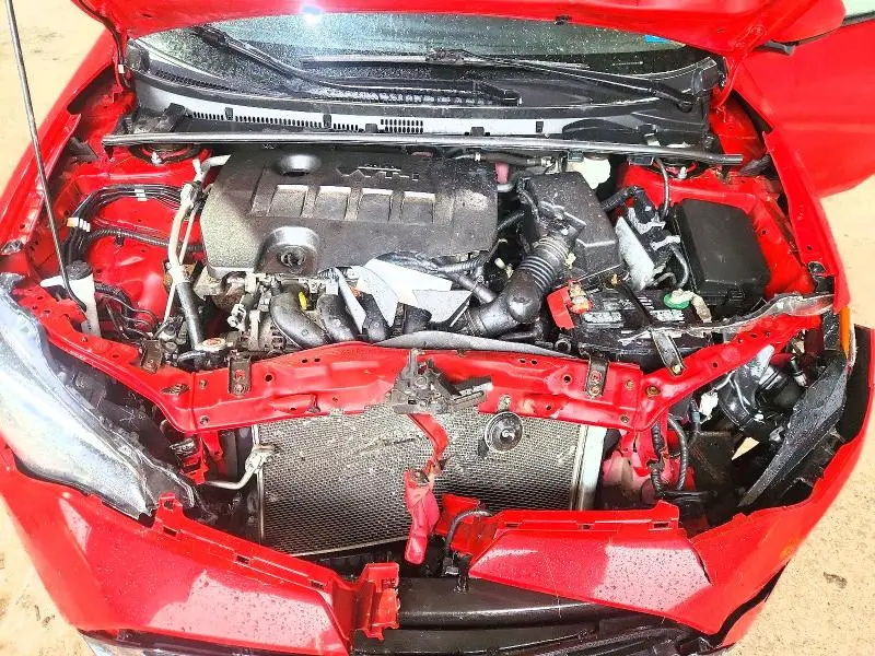 2019 TOYOTA COROLLA LE  