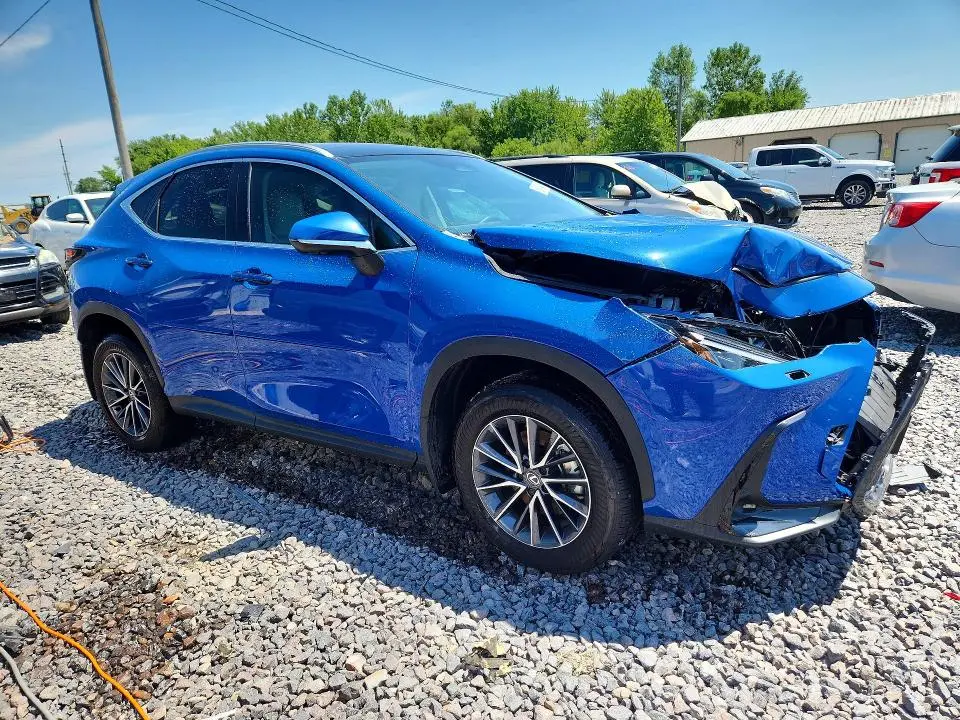2025 LEXUS NX 350H LUXURY  