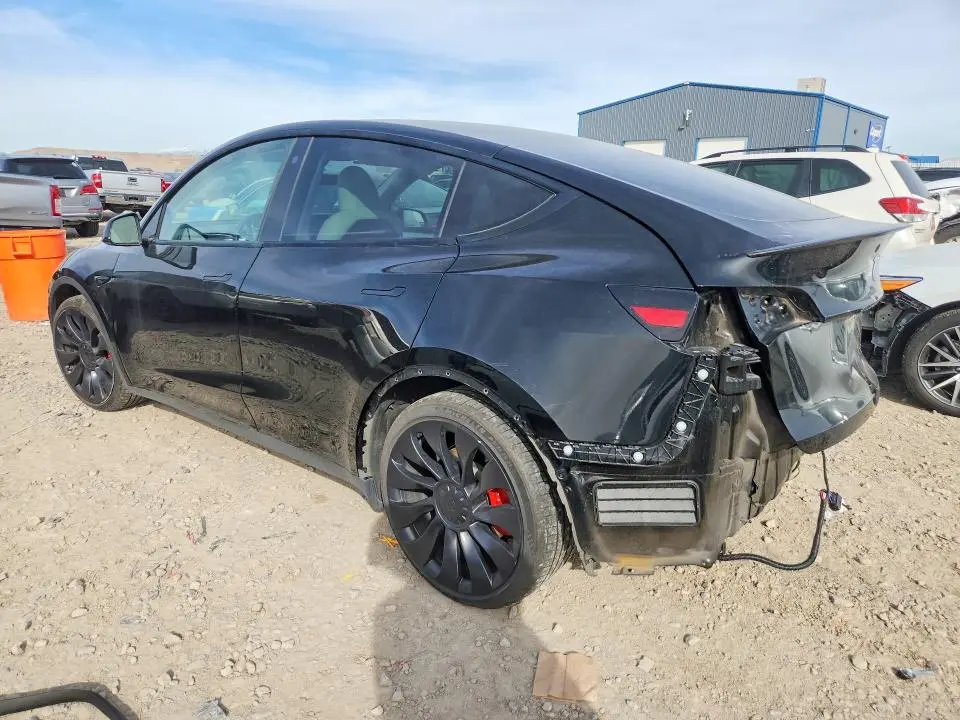 2023 TESLA MODEL Y   