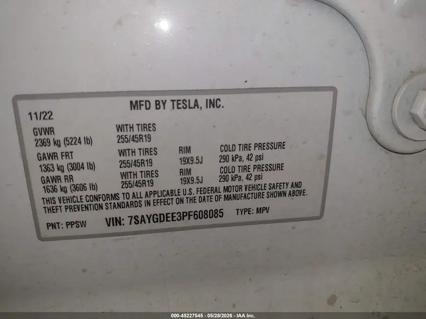 2023 TESLA MODEL Y  